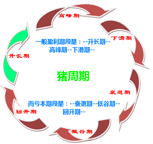 如何破解價格怪圈 化解“豬周期”風(fēng)險？