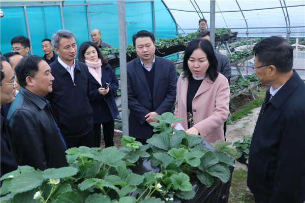 “質(zhì)量興農(nóng)萬里行”陜西站活動花落安康、走進漢濱、風(fēng)起陽晨